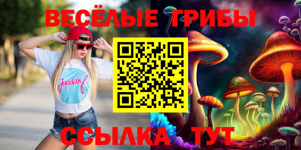 Кандалакша  Псилоцибиновые грибы ЛСД  Вход с VPN  Псилоцибиновые грибы мицелий 