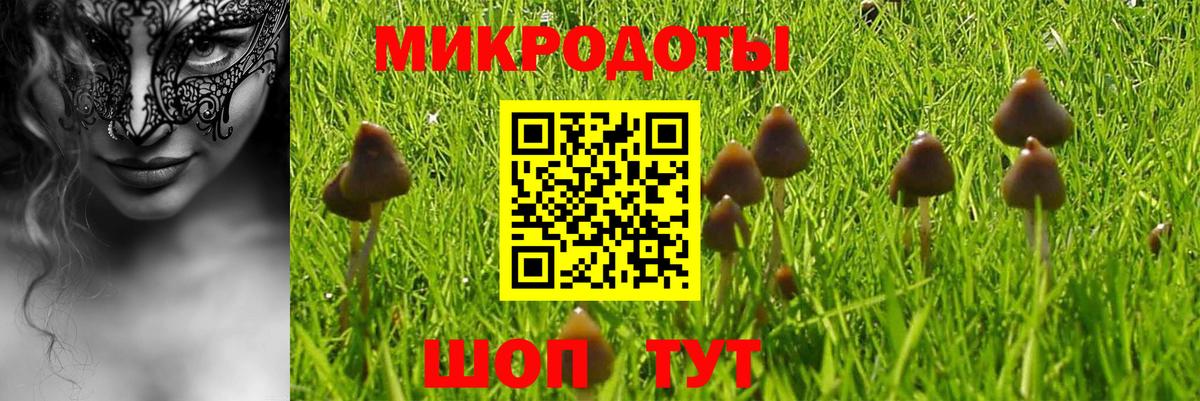 Кандалакша  Cocaine  Канабис  APVP СК кристаллы  ЭКСТАЗИ  Вход с VPN  ГАШ  Мефедрон  